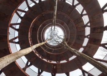 پروژه معماری برج دیدبانی جنگلی اثر EFFEKT در دانمارک