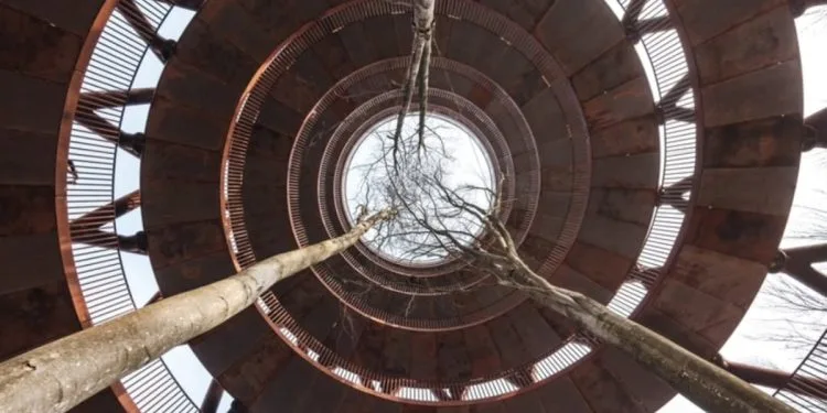 پروژه معماری برج دیدبانی جنگلی اثر EFFEKT در دانمارک